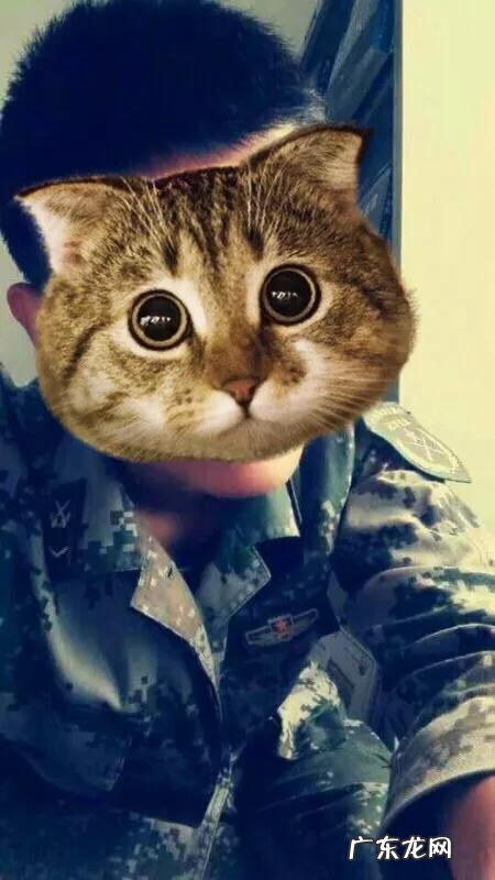 有没有好的撩人套路?