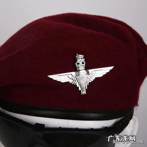 英国除了特种空勤团,还有其他的特种作战单位吗?