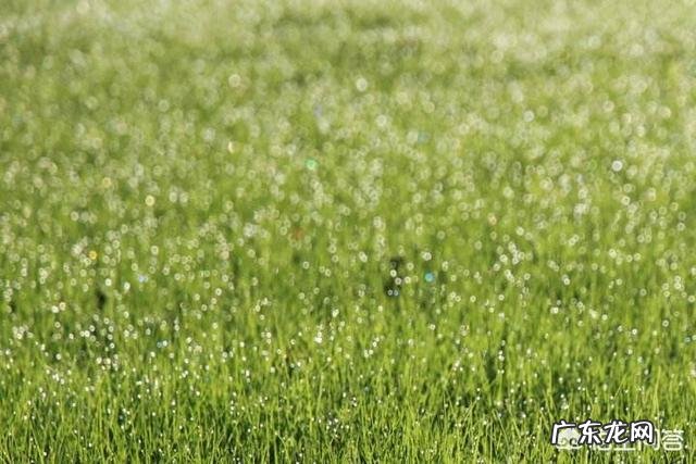 又是一年母亲节，你认为古代哪首描写母爱的诗最能打动人心？