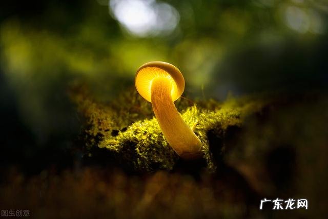 为什么有的人说话老是尖酸刻薄,时时话语中带讽刺别人?