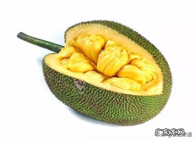 波萝蜜的食用方法是什么?请教一下?