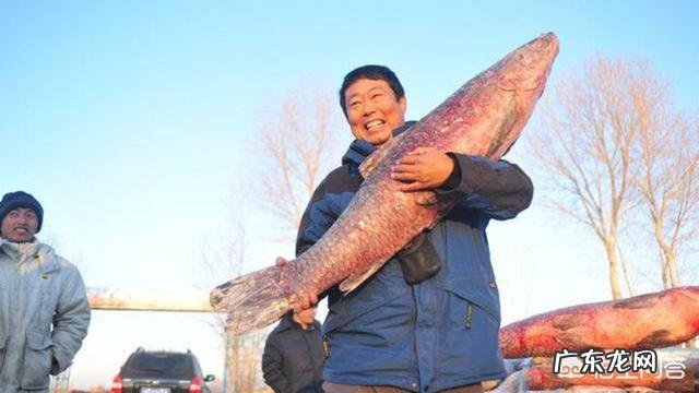 为什么很多人把吉林查干湖鱼叫做“洗澡鱼”？