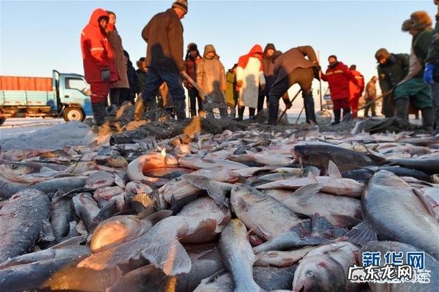 为什么很多人把吉林查干湖鱼叫做“洗澡鱼”？
