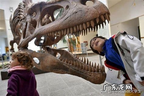 史前比霸王龙更厉害的恐龙都有哪些?