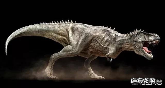 史前比霸王龙更厉害的恐龙都有哪些?