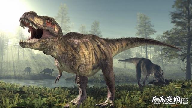 史前比霸王龙更厉害的恐龙都有哪些?