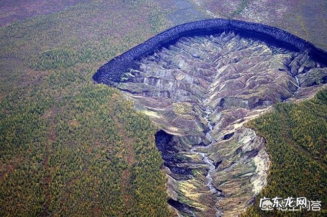 4.2万年前的小马溺水身亡,血液还在流动,是怎么回事?科学家是否能复活它?