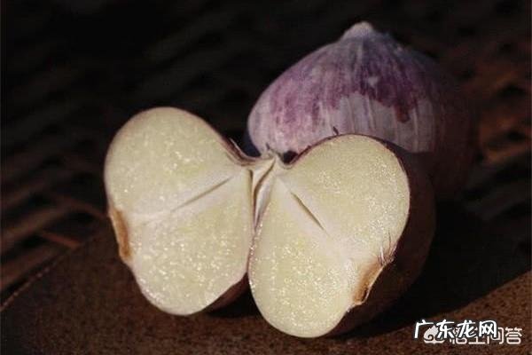 农村老人常说的四大厉害,“娘娘葱,独头蒜,仰头女,低头汉”指的是哪些?有什么道理?