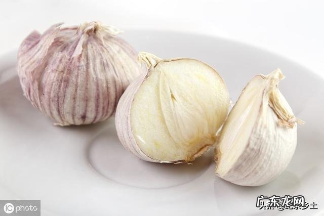 农村老人常说的四大厉害,“娘娘葱,独头蒜,仰头女,低头汉”指的是哪些?有什么道理?