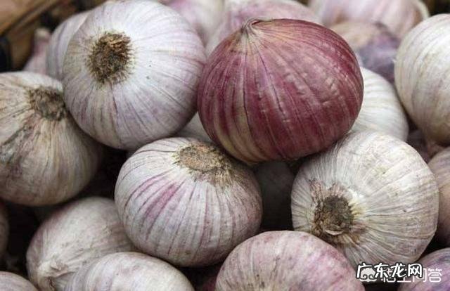 农村老人常说的四大厉害,“娘娘葱,独头蒜,仰头女,低头汉”指的是哪些?有什么道理?