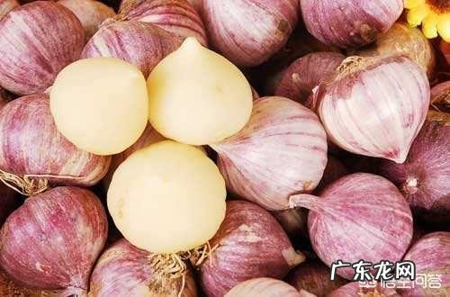 农村老人常说的四大厉害,“娘娘葱,独头蒜,仰头女,低头汉”指的是哪些?有什么道理?