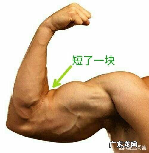 肱二头肌练不大,手臂不够粗,怎样改善自己的训练方法比较好?