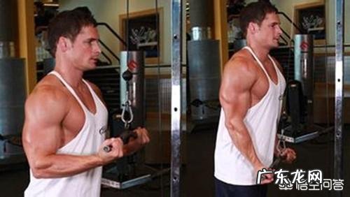 肱二头肌练不大,手臂不够粗,怎样改善自己的训练方法比较好?