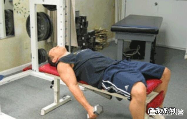 肱二头肌练不大,手臂不够粗,怎样改善自己的训练方法比较好?