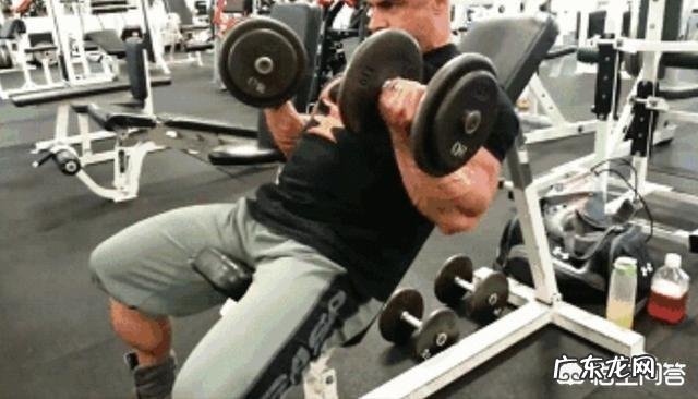 肱二头肌练不大,手臂不够粗,怎样改善自己的训练方法比较好?