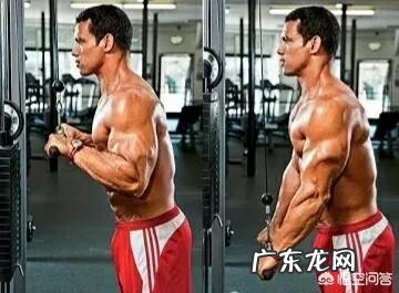 肱二头肌练不大,手臂不够粗,怎样改善自己的训练方法比较好?