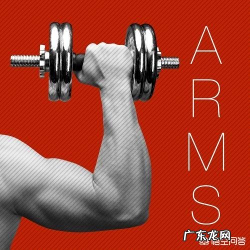 肱二头肌练不大,手臂不够粗,怎样改善自己的训练方法比较好?