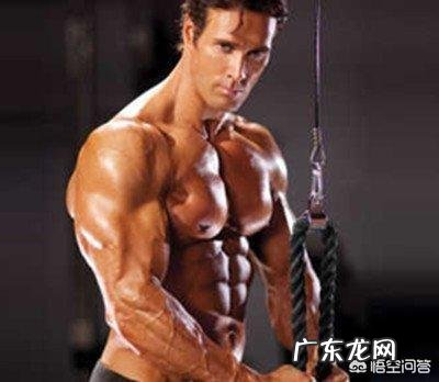 肱二头肌练不大,手臂不够粗,怎样改善自己的训练方法比较好?