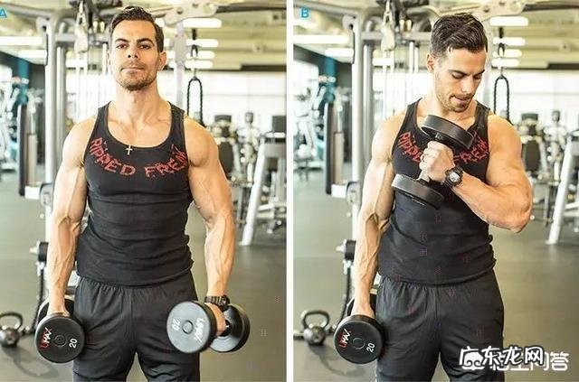 肱二头肌练不大,手臂不够粗,怎样改善自己的训练方法比较好?