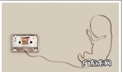 进行了胎教的宝宝有哪些特点?