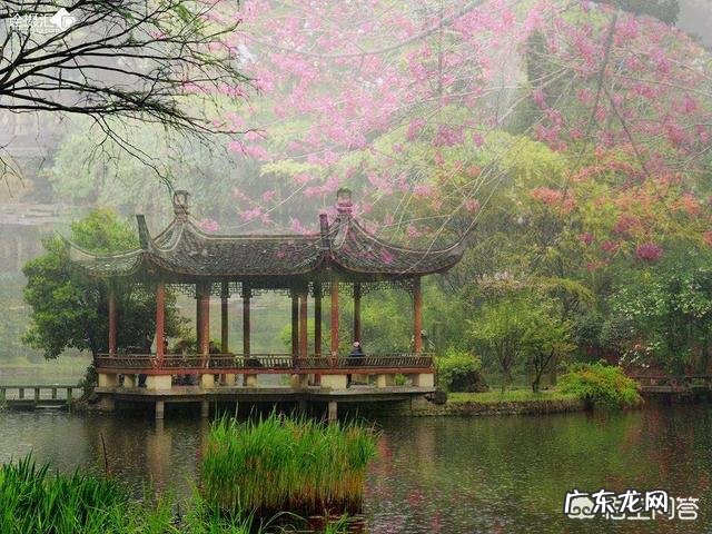 喜欢哪些描写雨的诗句?