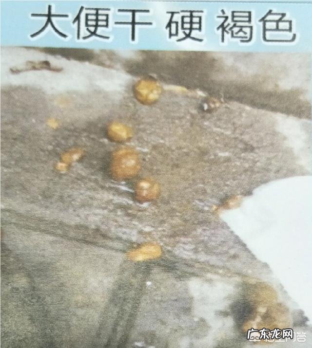 婴儿三天没大便是怎么回事?