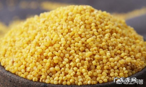 健脾胃,除了中药之外,喝哪些粥最好?