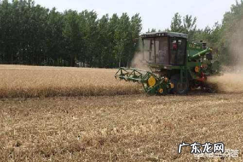 农村人是怎么过端午节的?