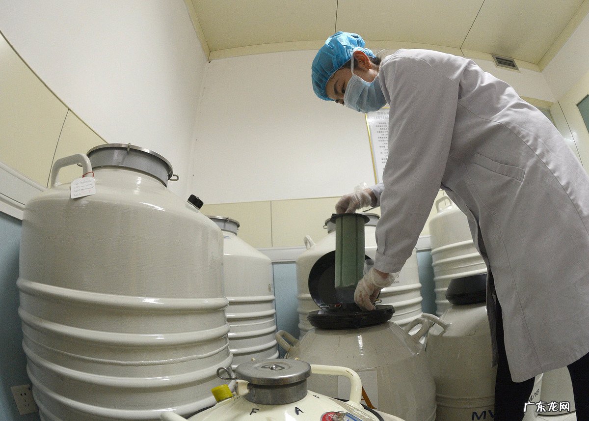 捐献精子需要什么条件 捐赠精子怎么捐