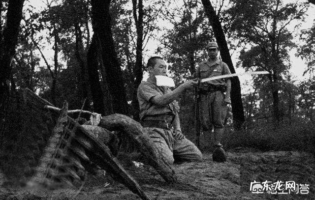 日本投降的时候,在日本出现了怎样的场景?