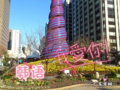 韩语歌曲《我爱你》 我爱你韩语谐音