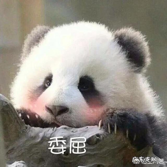 毛孔粗大该如何有效的改善?