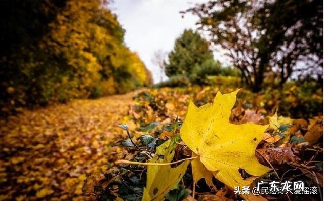 你是否要靠音乐才能入睡?