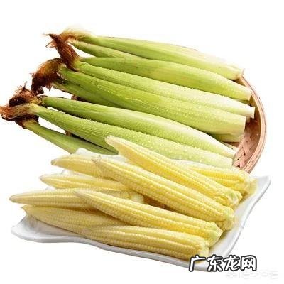 玉米结了二个棒子,是否要去掉一个?