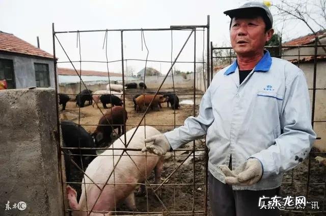 传言云南生猪8.8至9元一斤,实际只卖7至7.15元一斤,云南的生猪价格会涨吗?