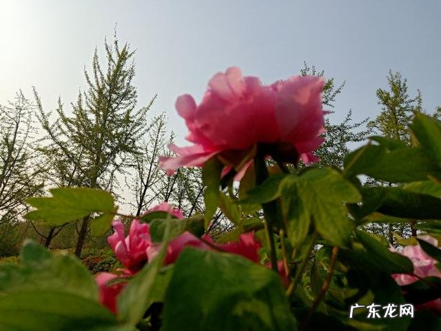 人活着到底干什么呀?体验生活体验人生吗?