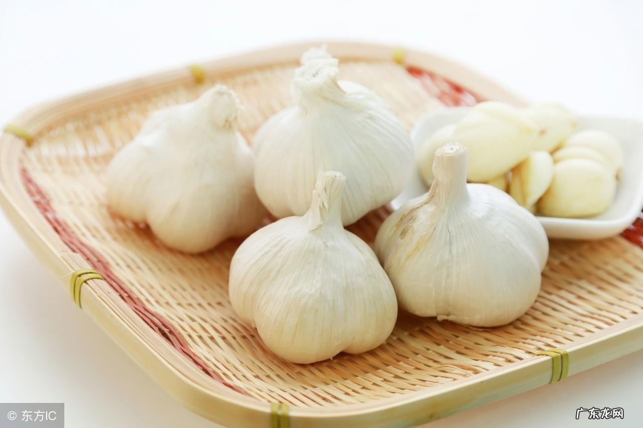 狗肉禁忌什么不能吃 吃狗肉的禁忌有哪些