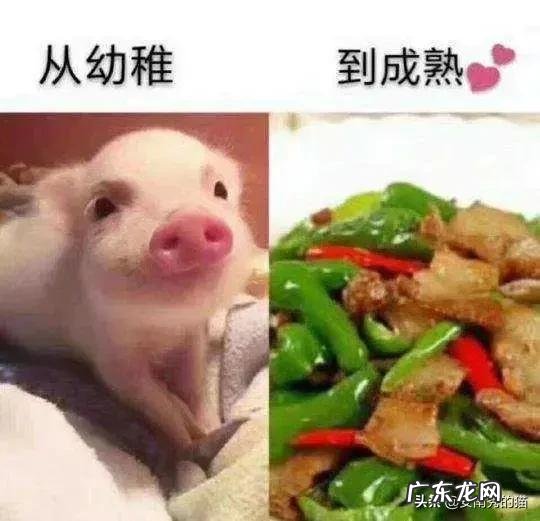 你见过的最搞笑的事情、图片或朋友圈是怎样的？