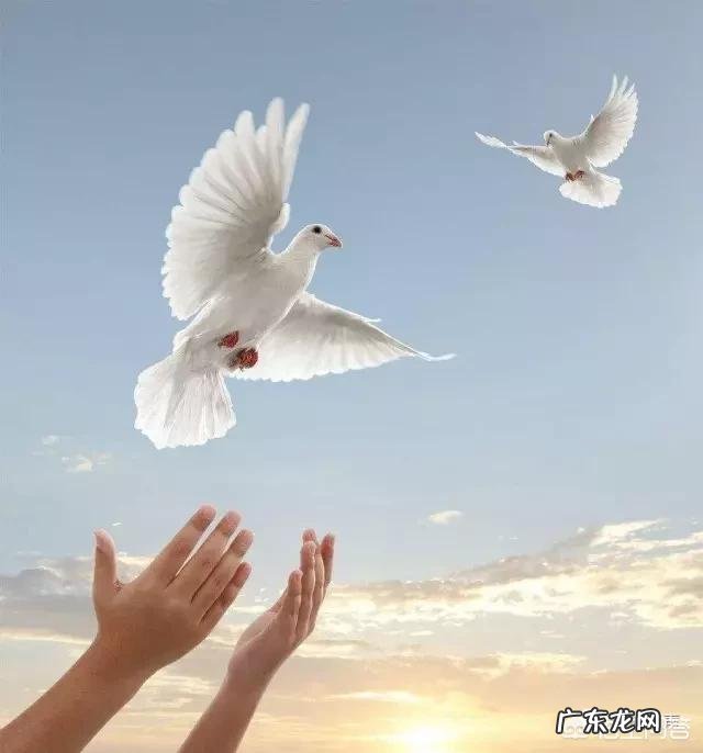 2018年考研国家线什么时候出来?