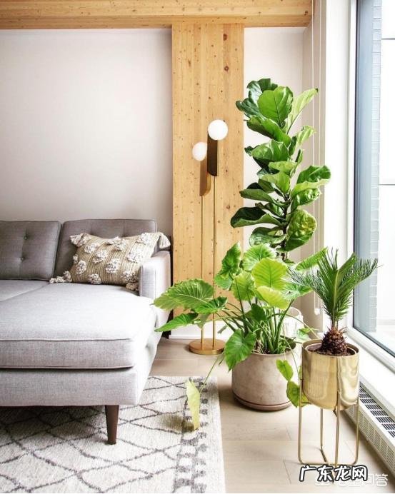 新房会有甲醛吗?