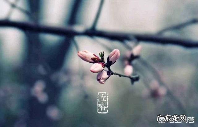 农村俗语“春打五九尾,家家迈不开腿”是什么意思?五九尾打春不好吗?