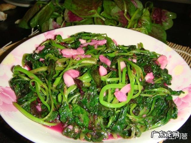 “长寿菜”是指的什么菜?