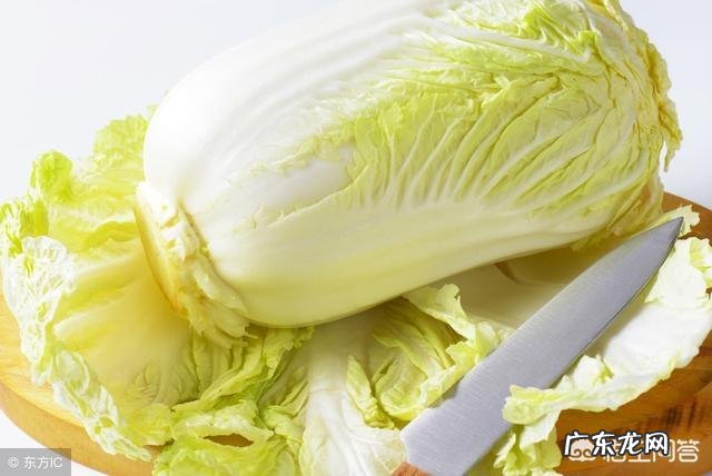 “长寿菜”是指的什么菜？