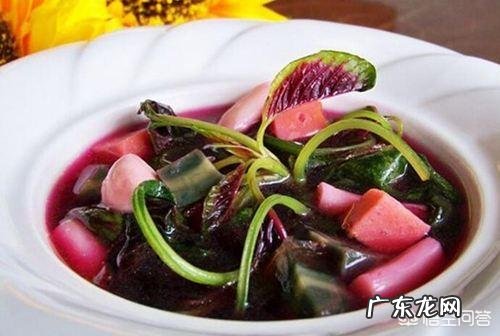 “长寿菜”是指的什么菜?