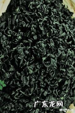 “长寿菜”是指的什么菜?