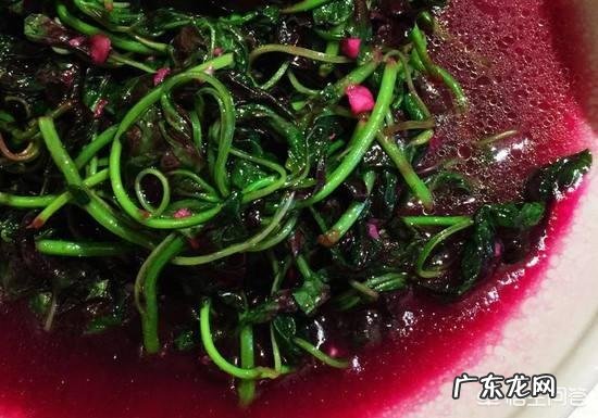 “长寿菜”是指的什么菜?