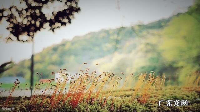 主动帮助了别人，自己却不觉得快乐，是为什么？该怎么做？