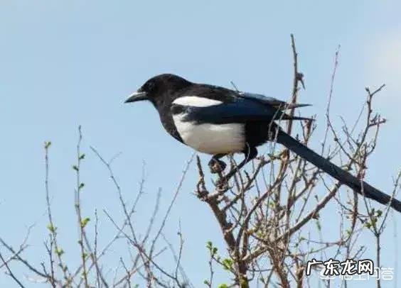 你会如何理解“一个人的心态决定了一个人的人生”这句话?