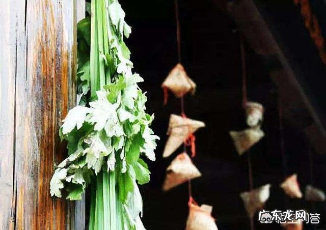 农村端午节挂艾草，你知道应该挂有根还是没根艾草吗？挂的时候根应该朝上还是朝下？