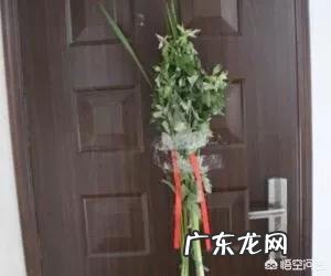 农村端午节挂艾草，你知道应该挂有根还是没根艾草吗？挂的时候根应该朝上还是朝下？